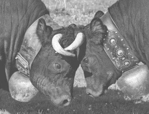 Konflikte lösen- dem Frieden zuliebe Teil I/II